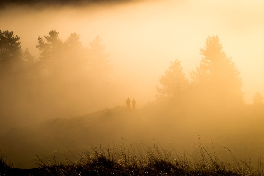 Photograph by Józef Tylka