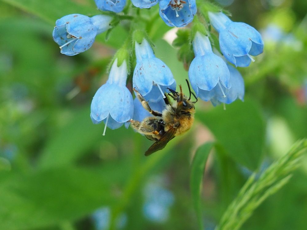 Photograph by Ольга Панкова