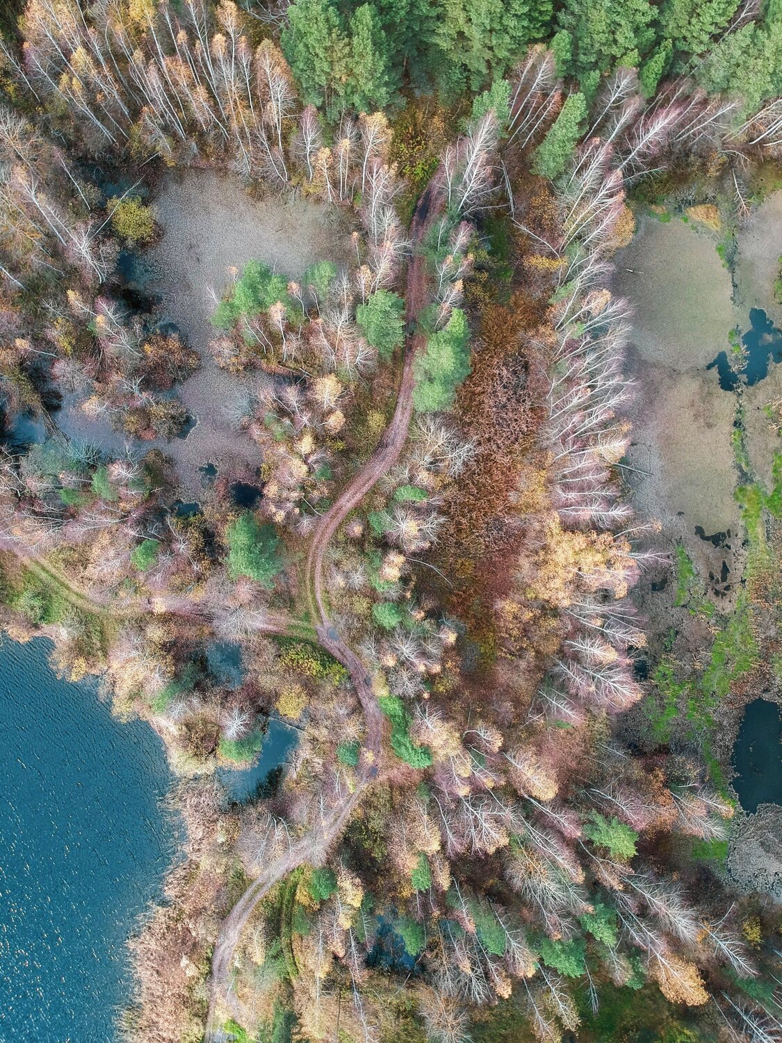 Осеняя пора