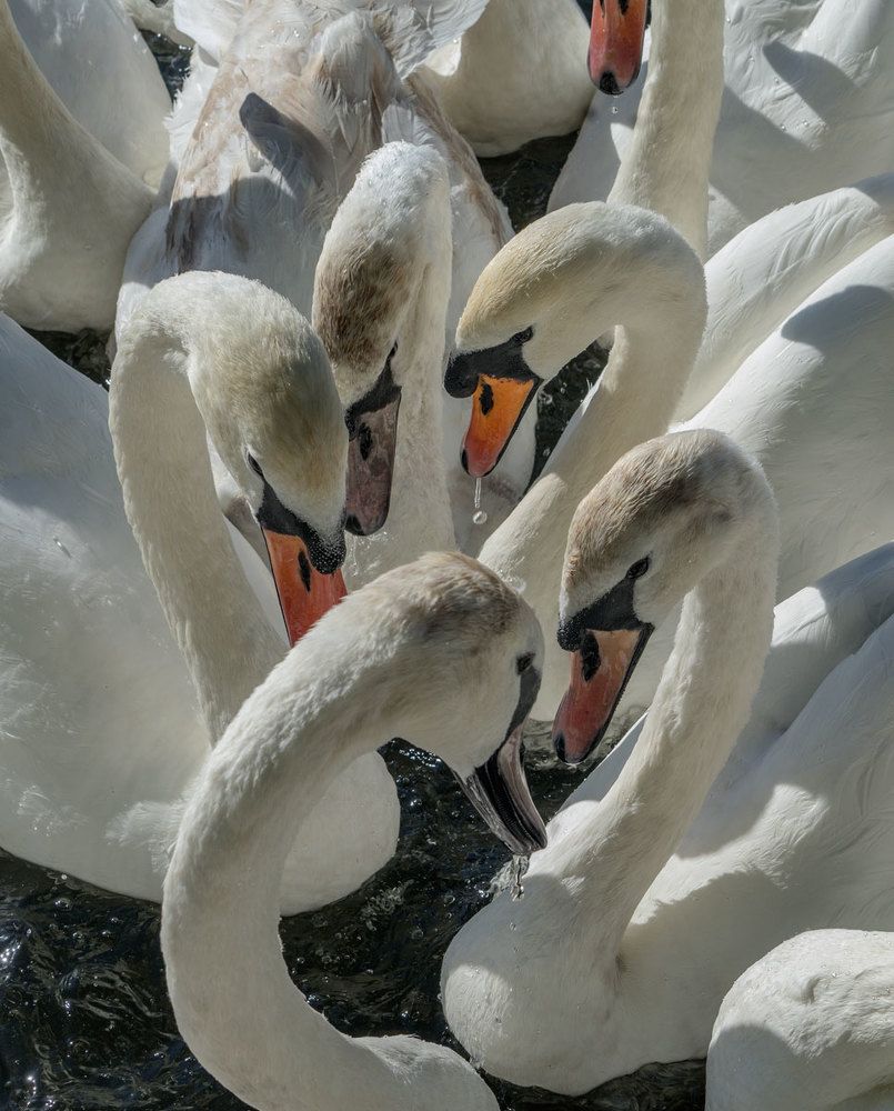 Фотография автора andrey gagarin