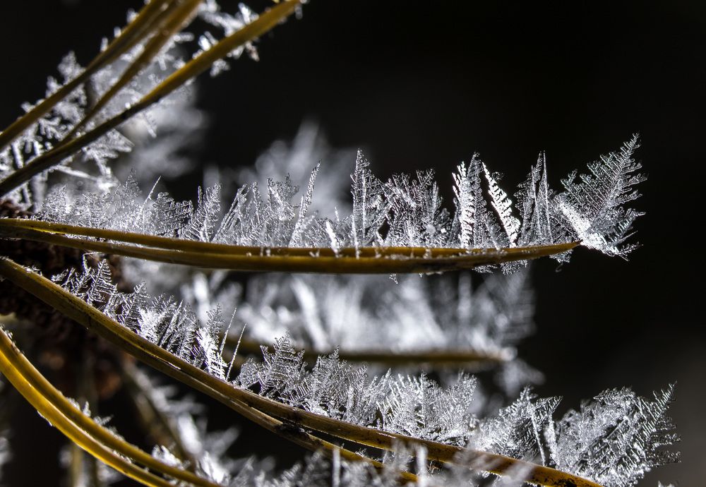 Photograph by Наталья Оконешникова