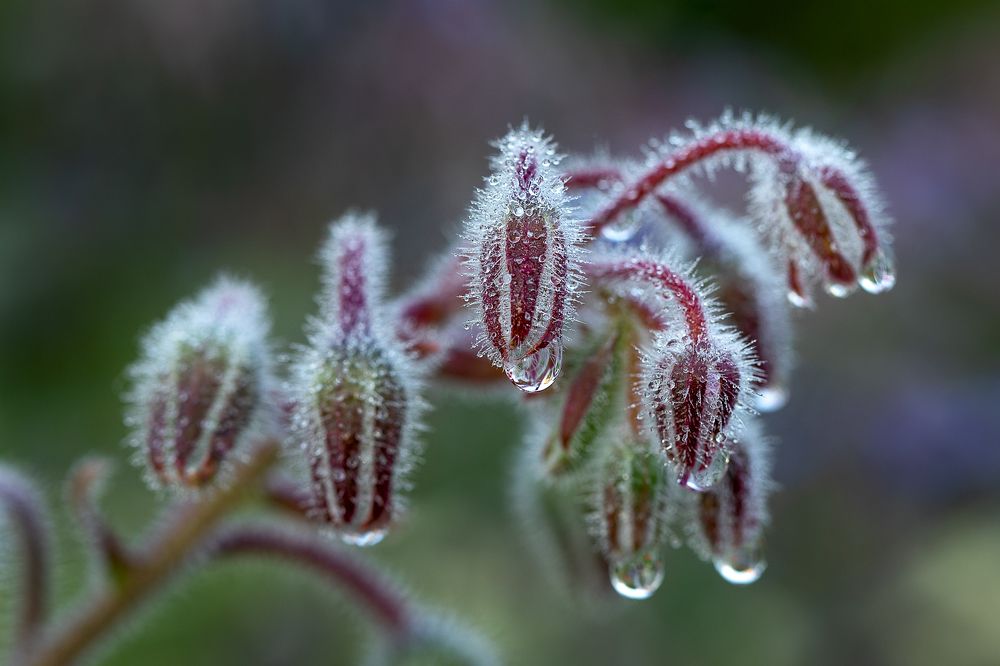 Фотография автора Зоя Галимова