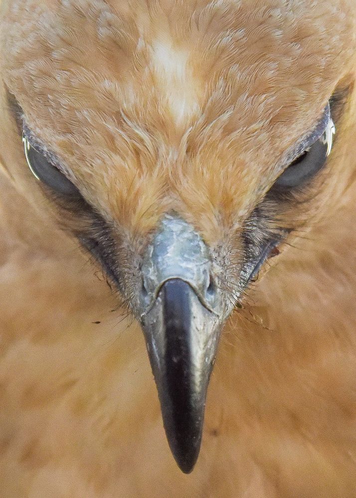 Photograph by Huynh Loc