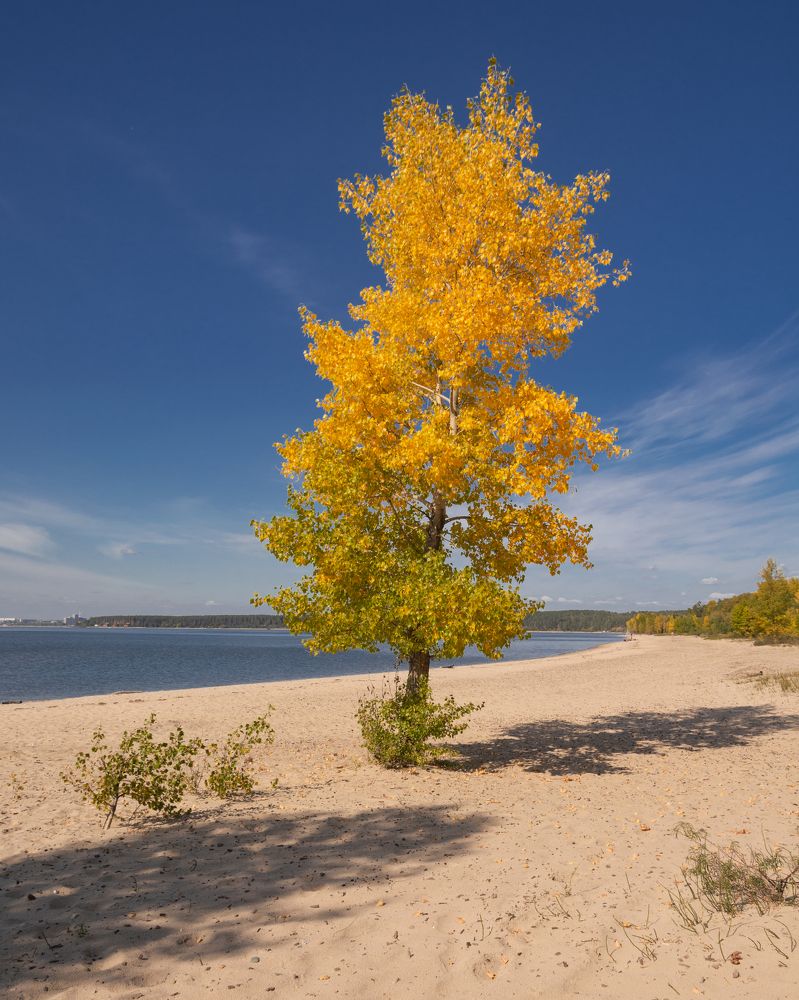 Photograph by Михаил Бирюков