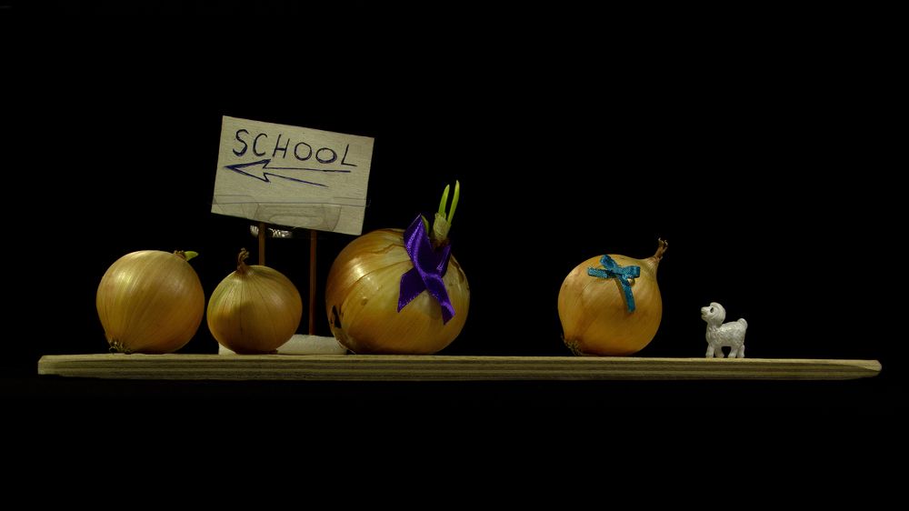 Mary had a little lamb У Мэри был маленький ягненок