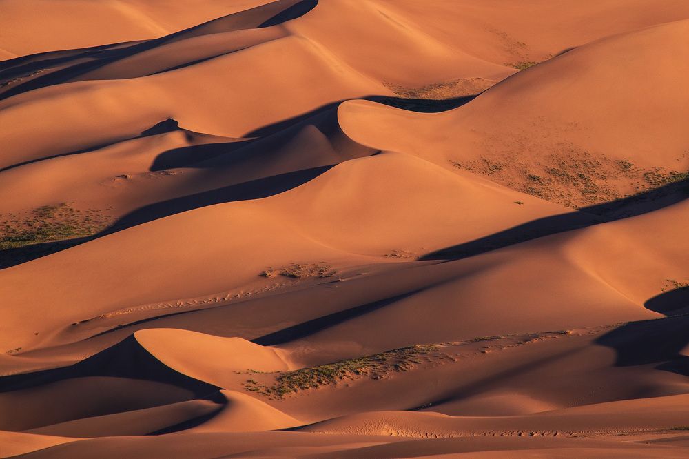 Photograph by Lana Anferow