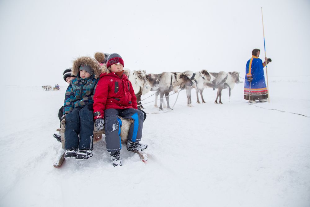 Photograph by Леонид Прядко