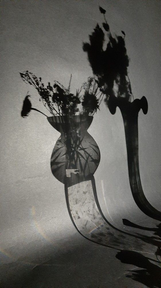 Photograph by Ольга Беспалько