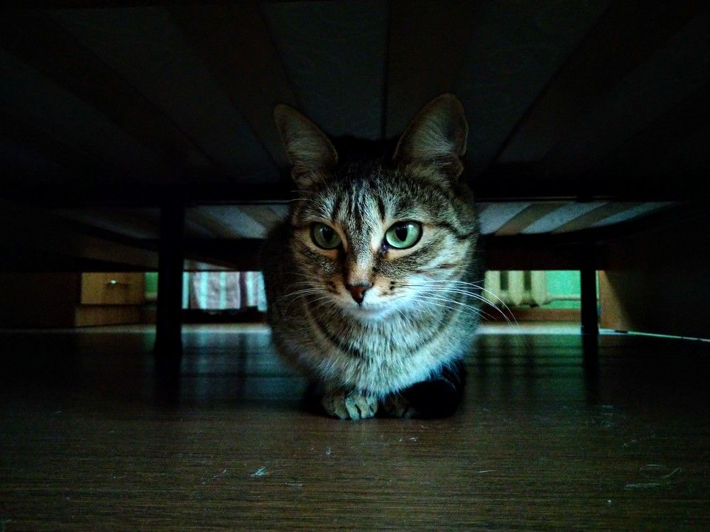 Photograph by Дмитрий Копылов