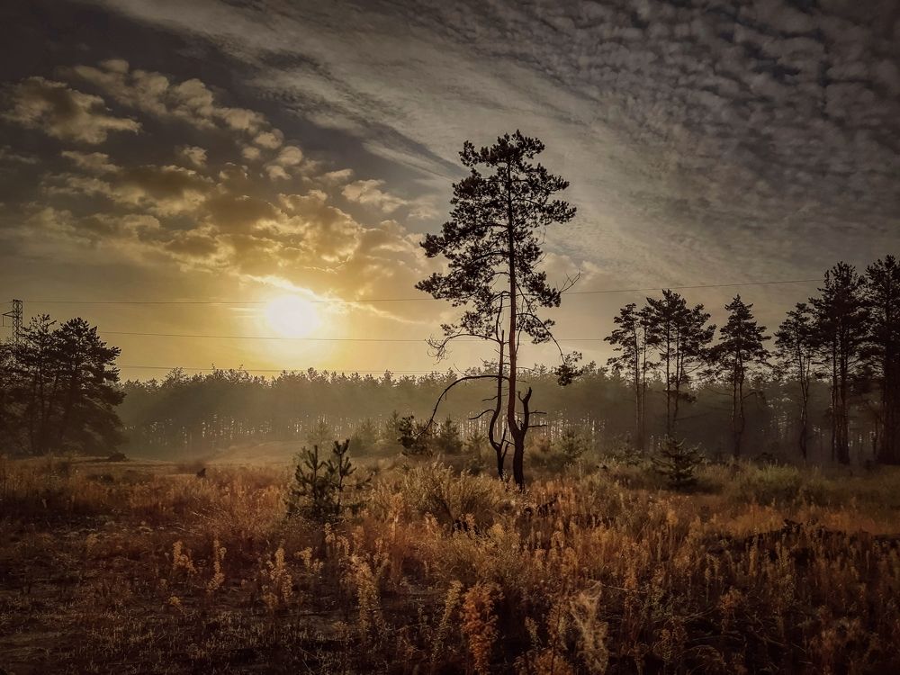 Photograph by Сергей Колос