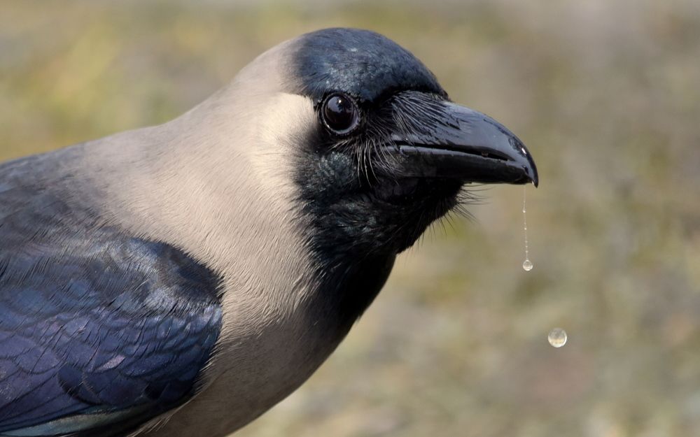 Photograph by LUIS PABLO TRENTIN MACK