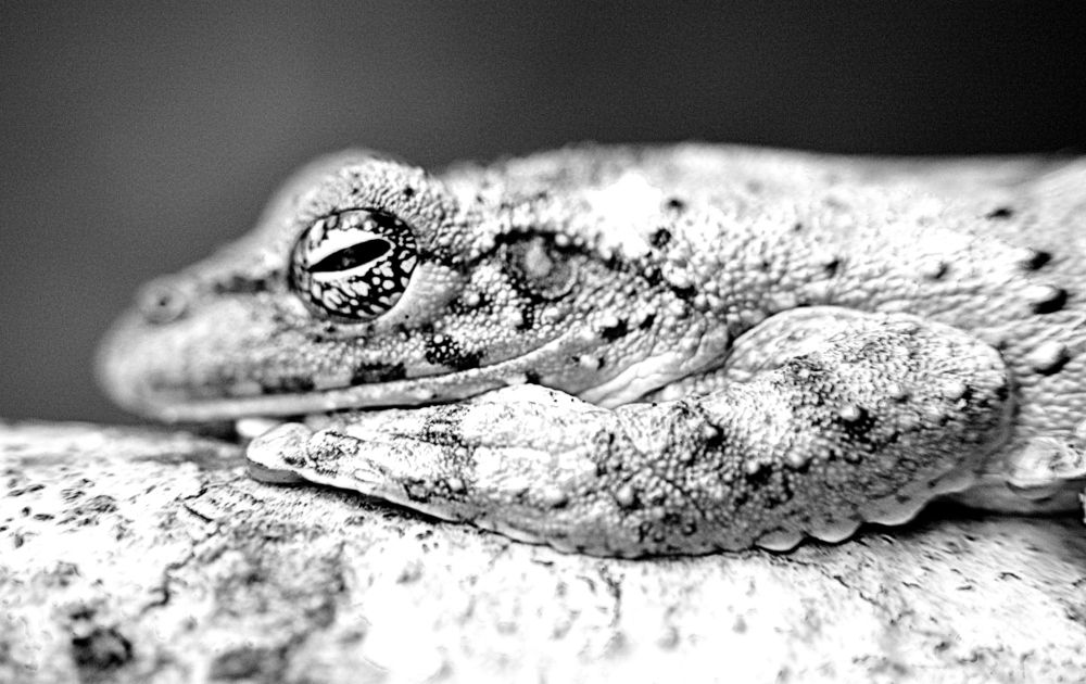 Photograph by LUIS PABLO TRENTIN MACK