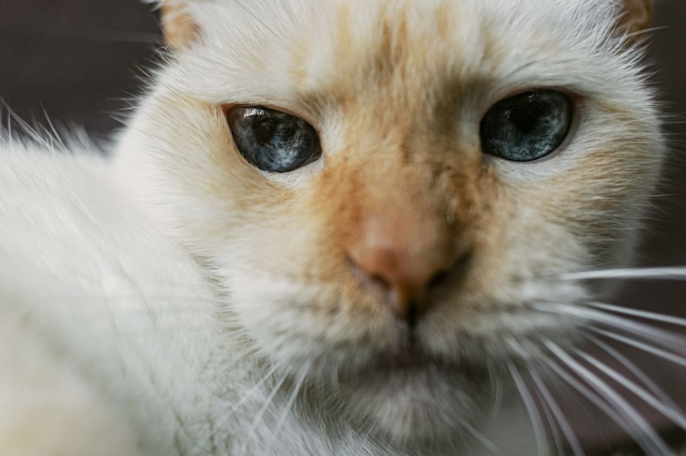 Photograph by Maria de los Angeles Osorio