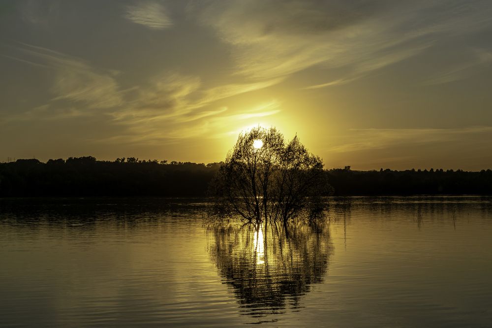 Фотография автора Виталий Гавронский