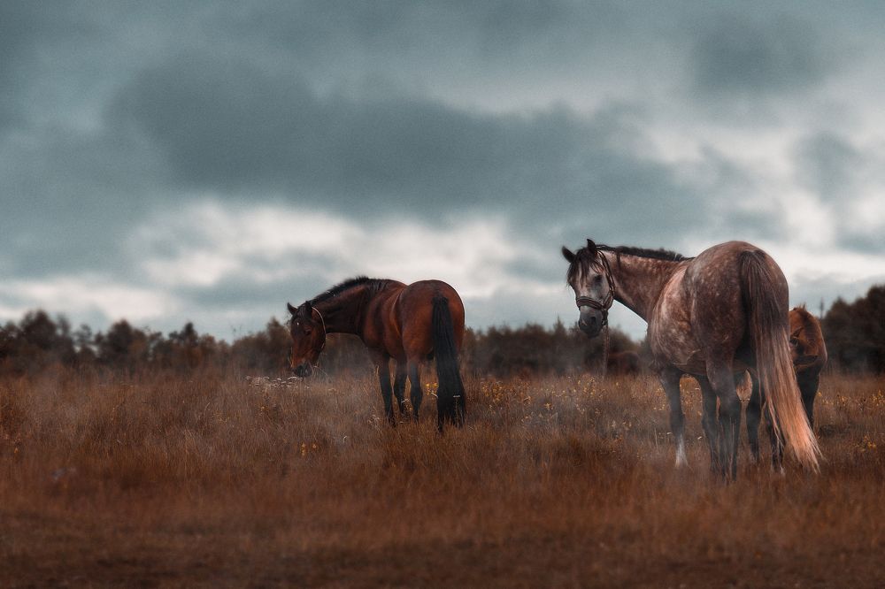 Photograph by Екатерина