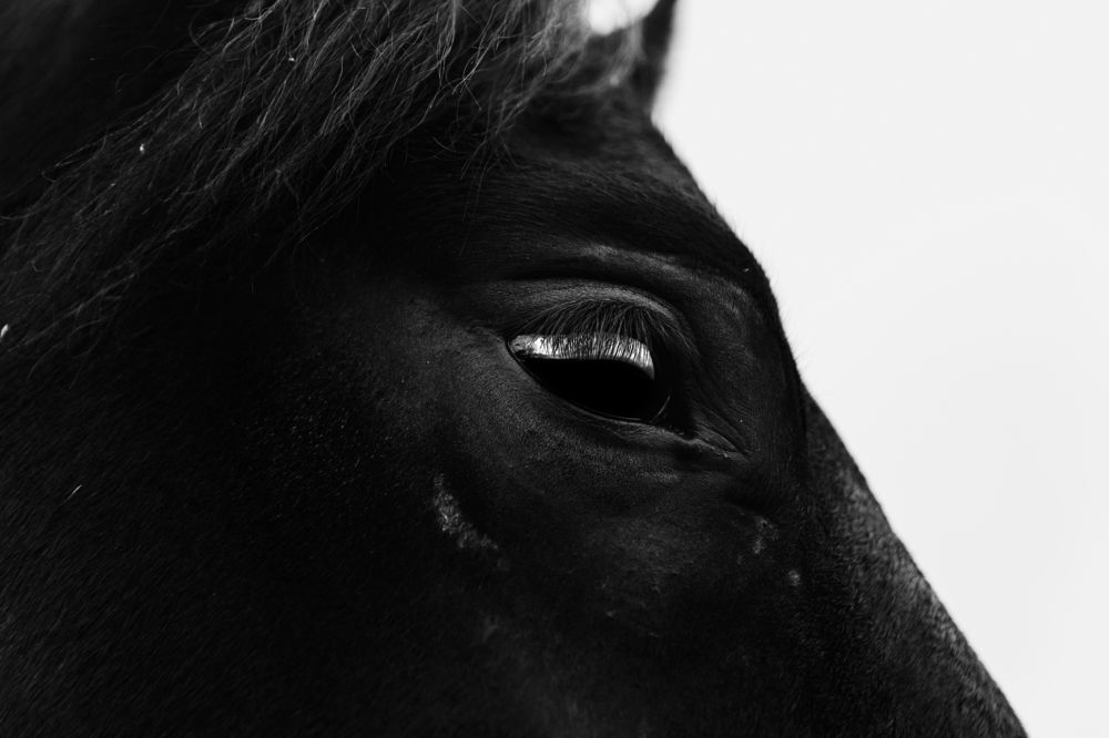 Photograph by Екатерина