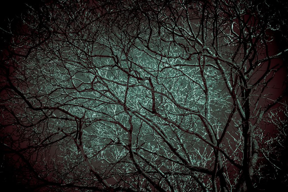 Мертвые вены