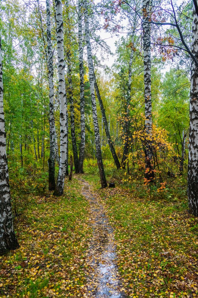 Фотография автора Виталий Гавронский