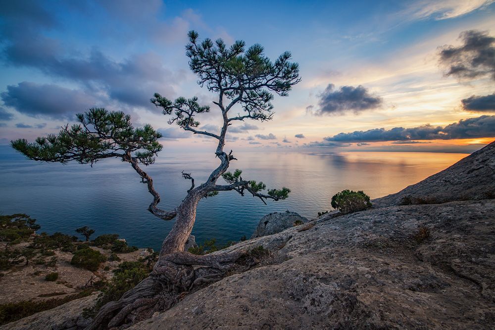 Photograph by Станислав Аристов