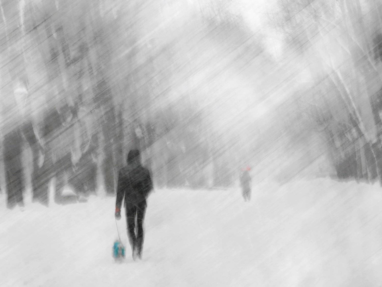 Photo #5756416