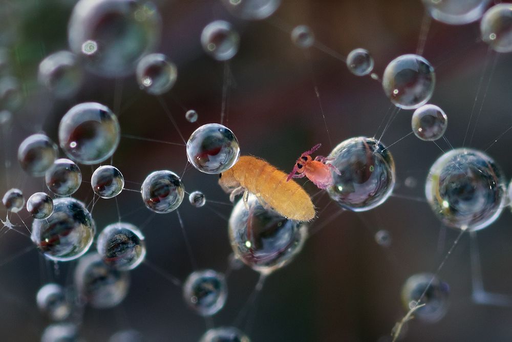 Невесомость