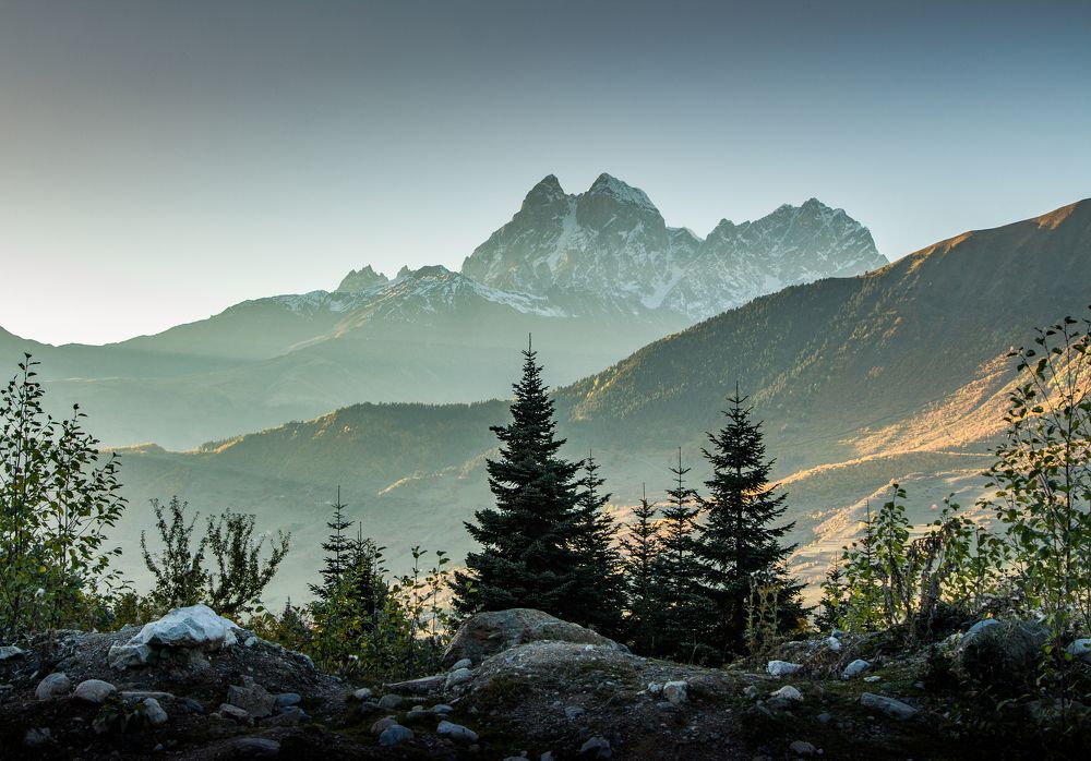 Photograph by Александр Воронов