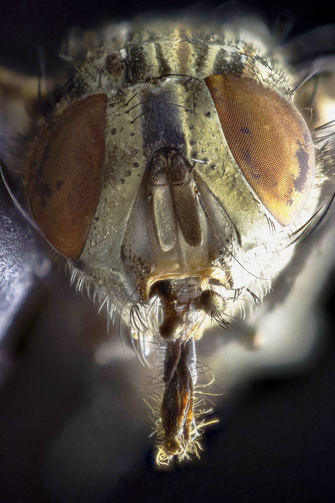 Photograph by Тарас Иванов