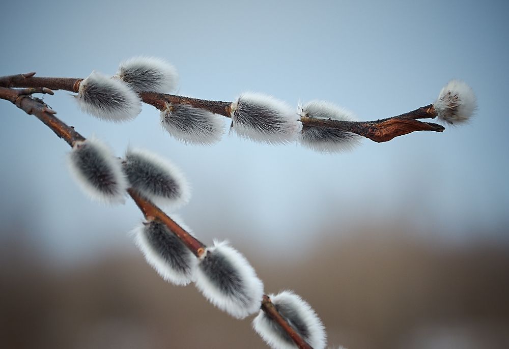 Photograph by  Nick Den