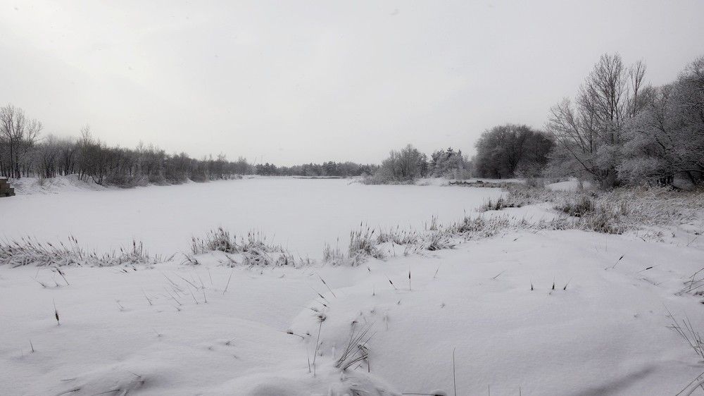 Фотография автора Александр Комаров