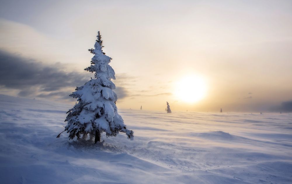 Фотография автора Vyacheslav Lozhkin