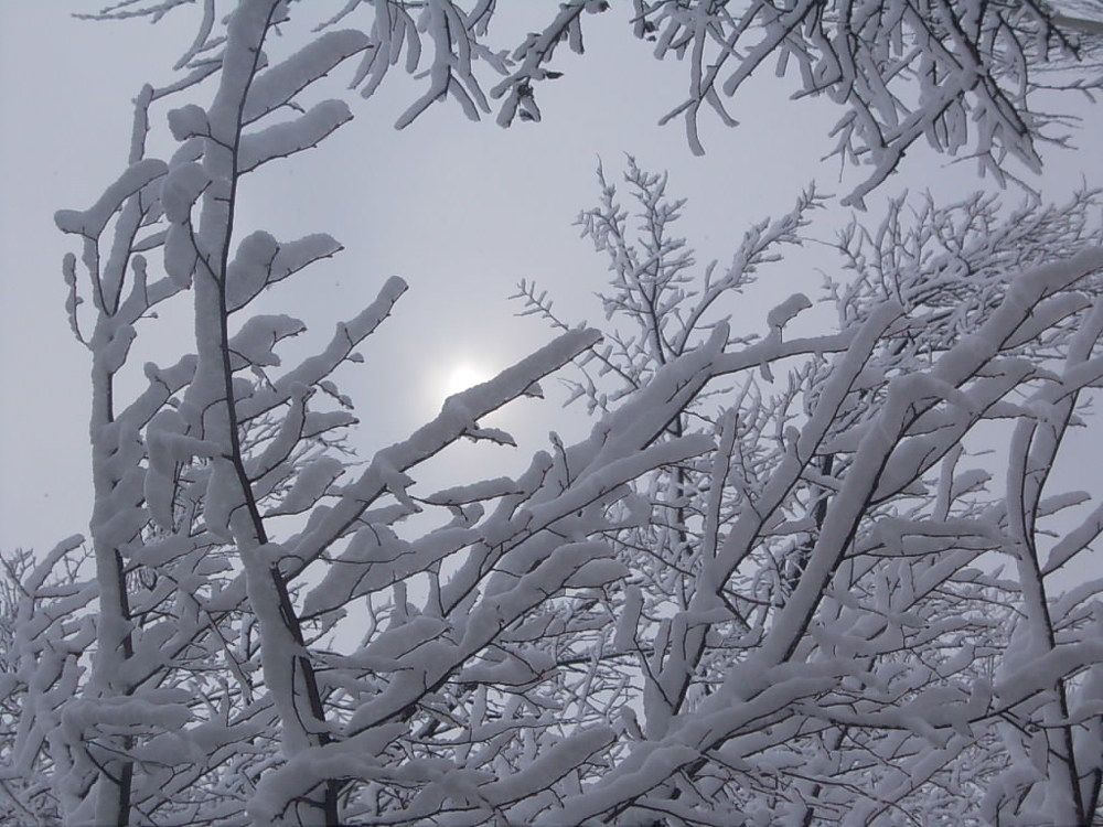 Photo #5756558
