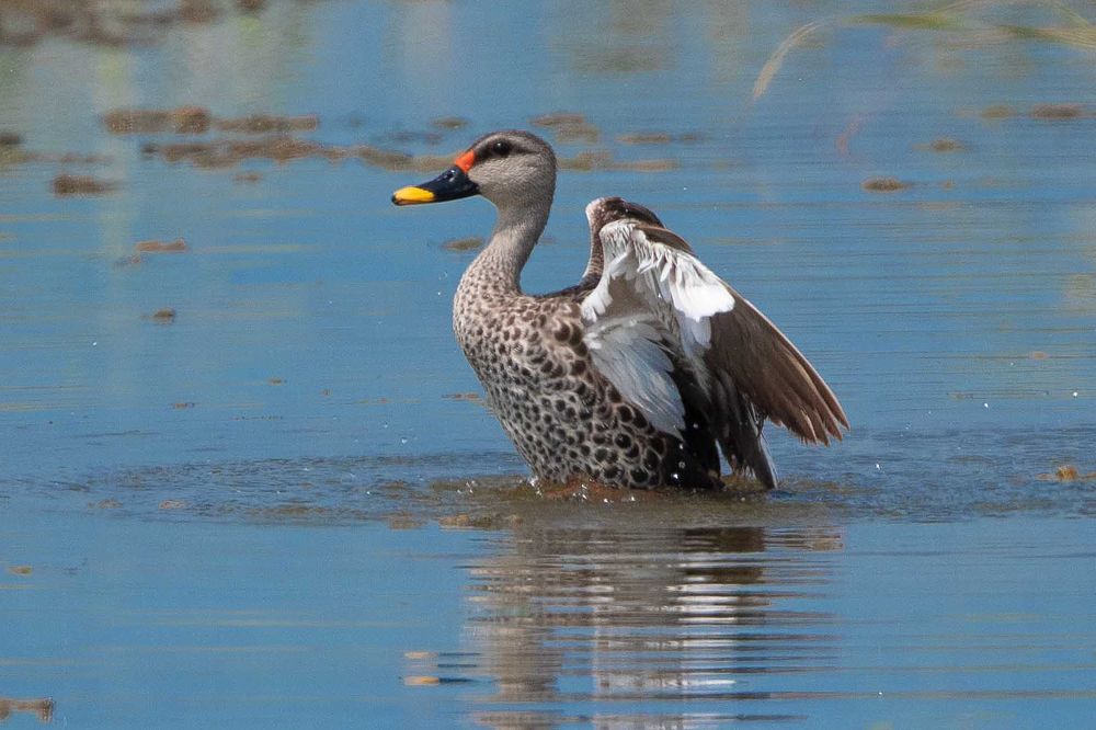 Photograph by Vinsara Senanayake