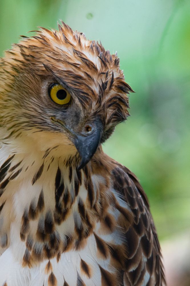 Photograph by Vinsara Senanayake