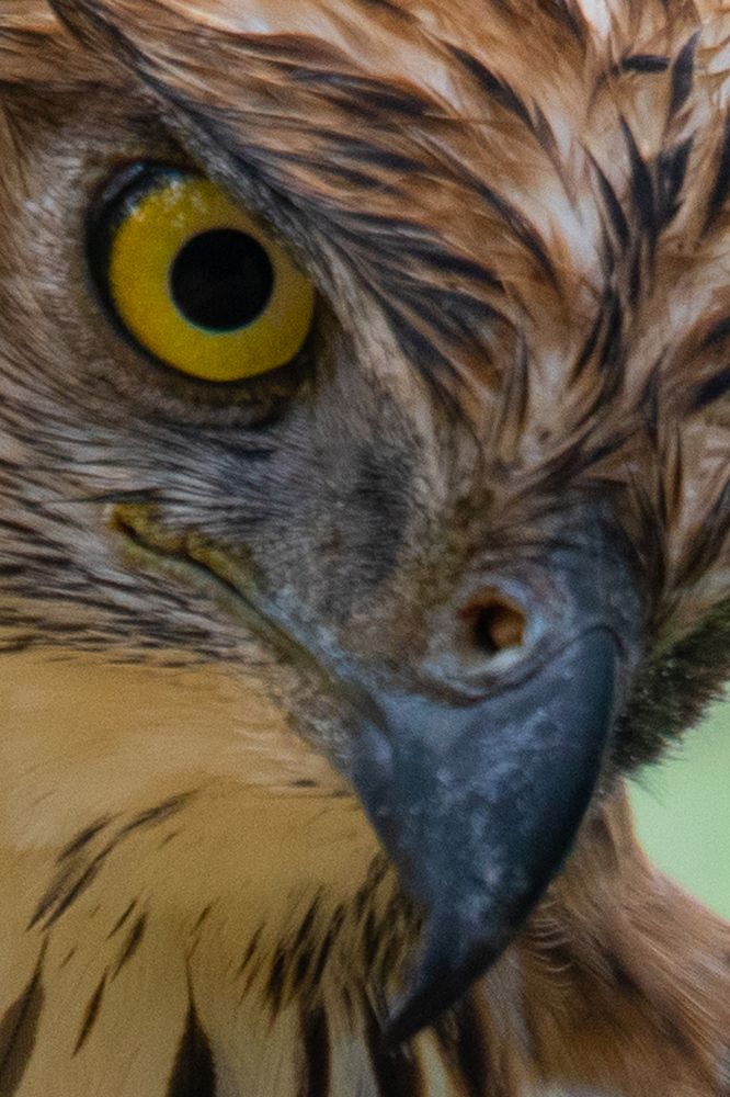 Photograph by Vinsara Senanayake