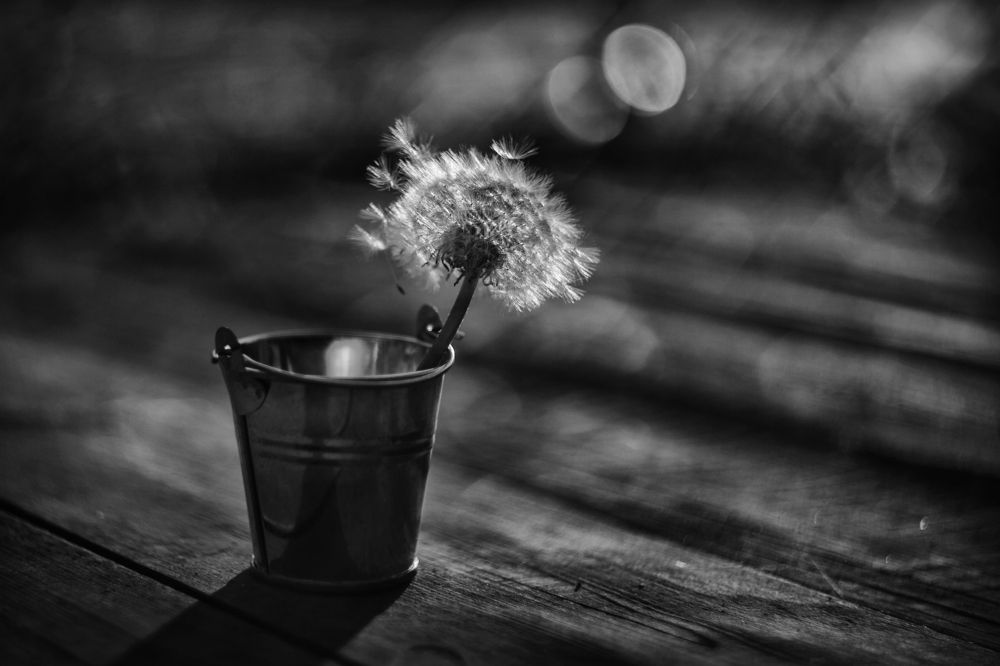 Photograph by Ольга Калимулина