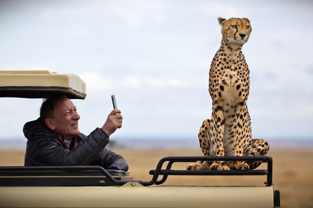 Фотоохота VIP