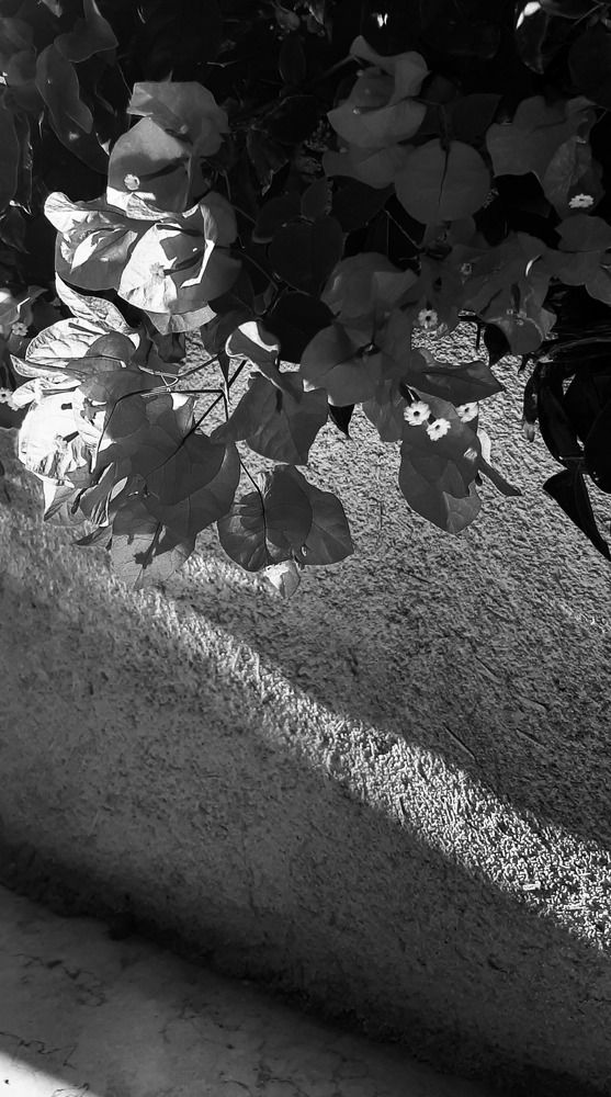 Photograph by Марина Горшкова