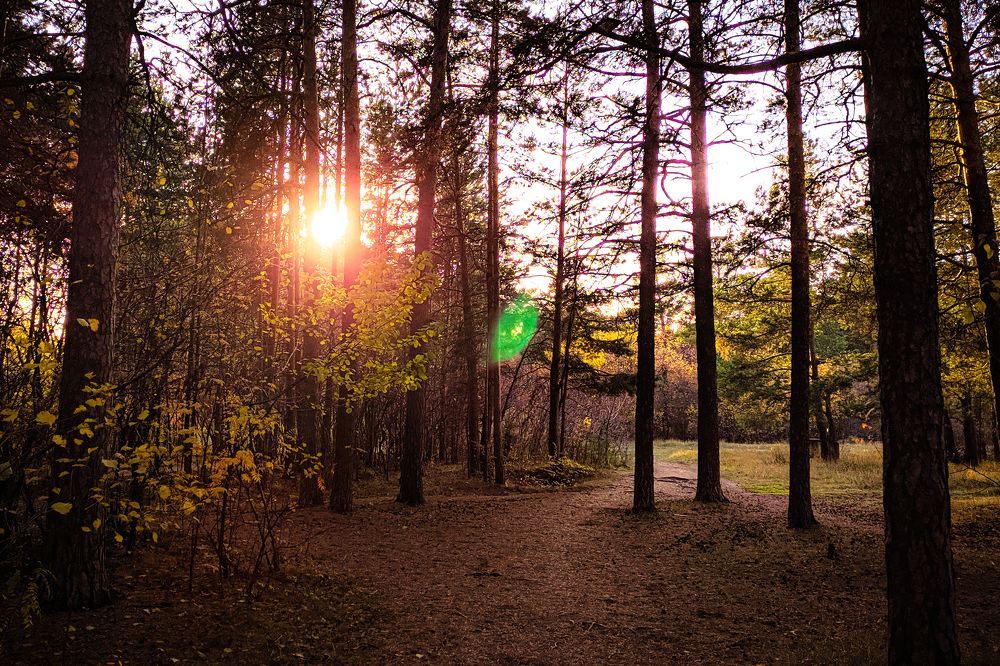 Photograph by Максим Лукманов