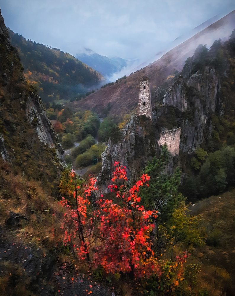 Башенный комплекс Вовнушки.