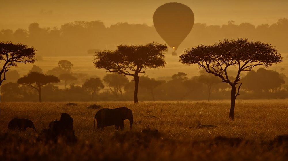 Африканское утро