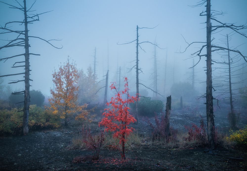 Photograph by Андрей Грачев