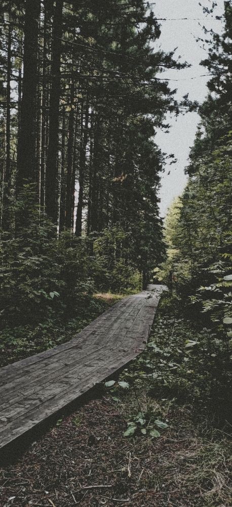 Photograph by Иван Соловьев