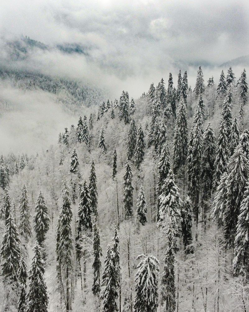 Photograph by Владимир Дихтенко