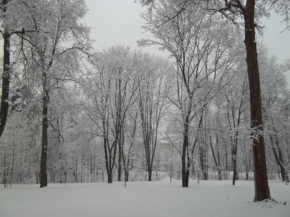 Photograph by Людмила