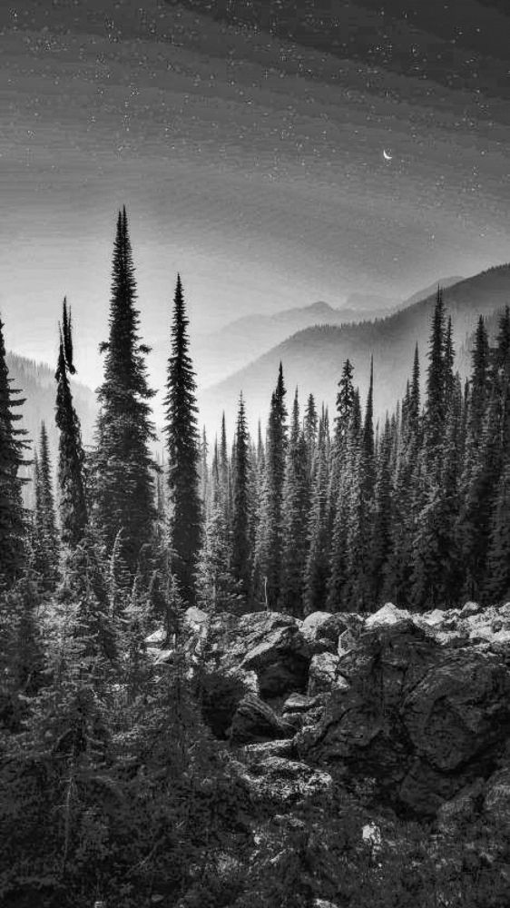 Photograph by Иван Соловьев