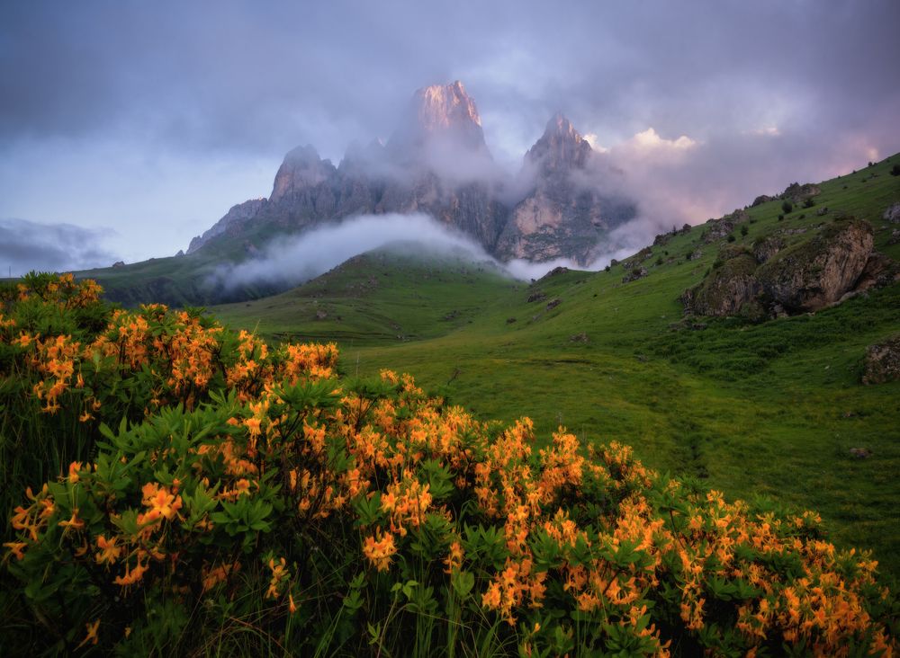 Photograph by Андрей Грачев