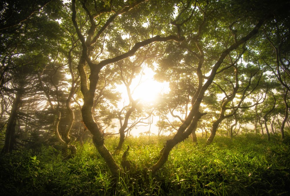 Photograph by Андрей Грачев