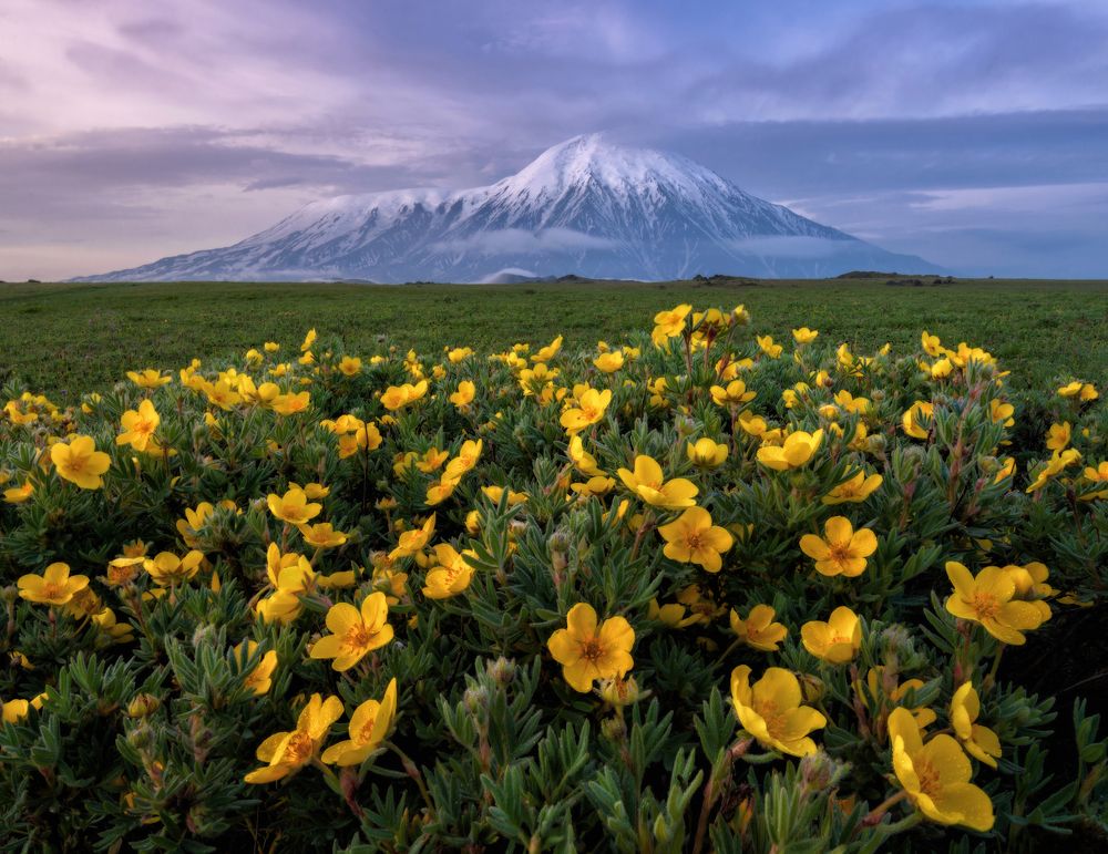 Вулкан Толбачик.
