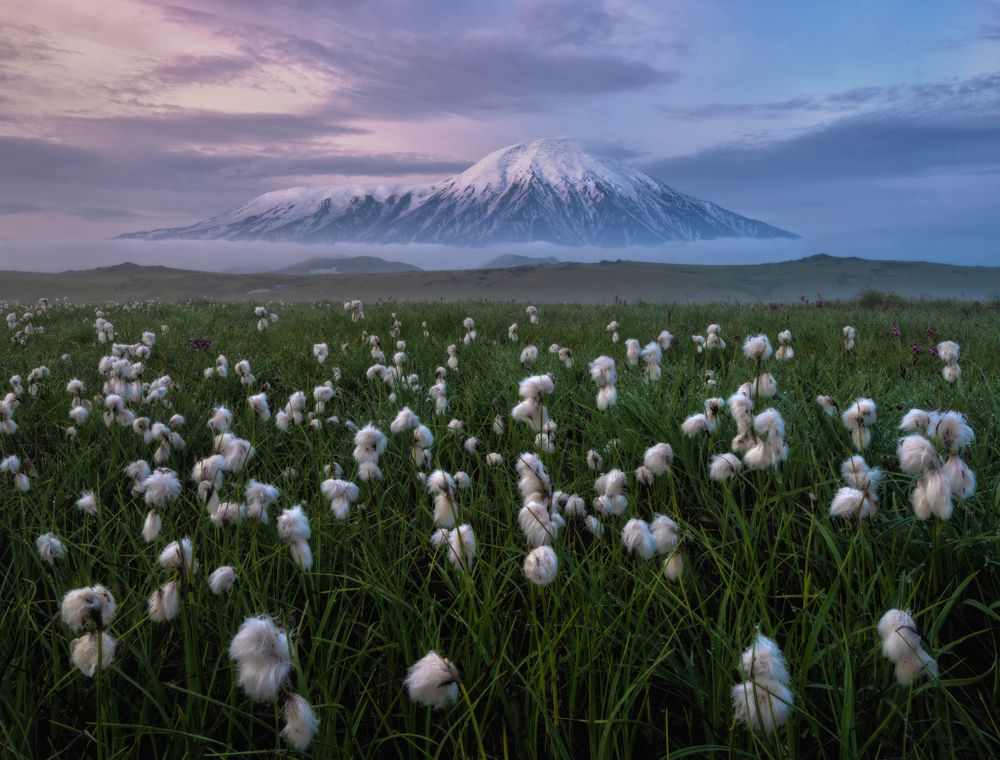 Photograph by Андрей Грачев