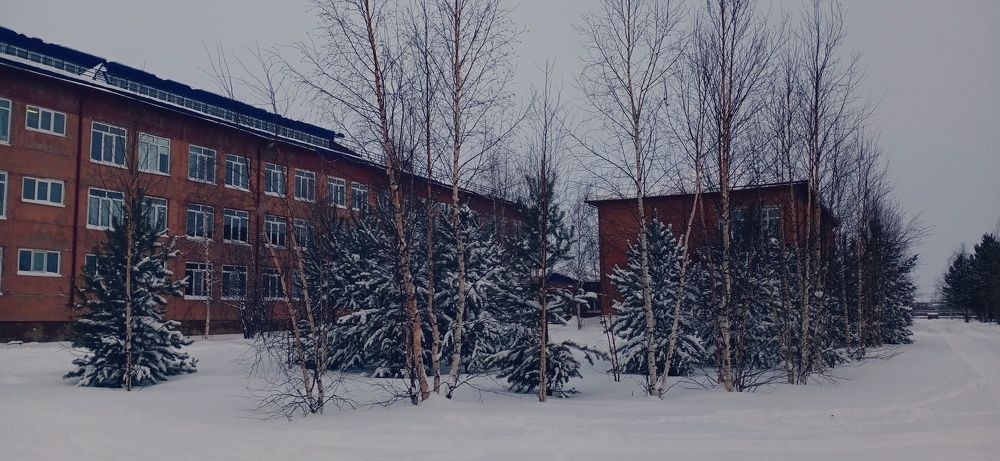 Photograph by Иван Соловьев